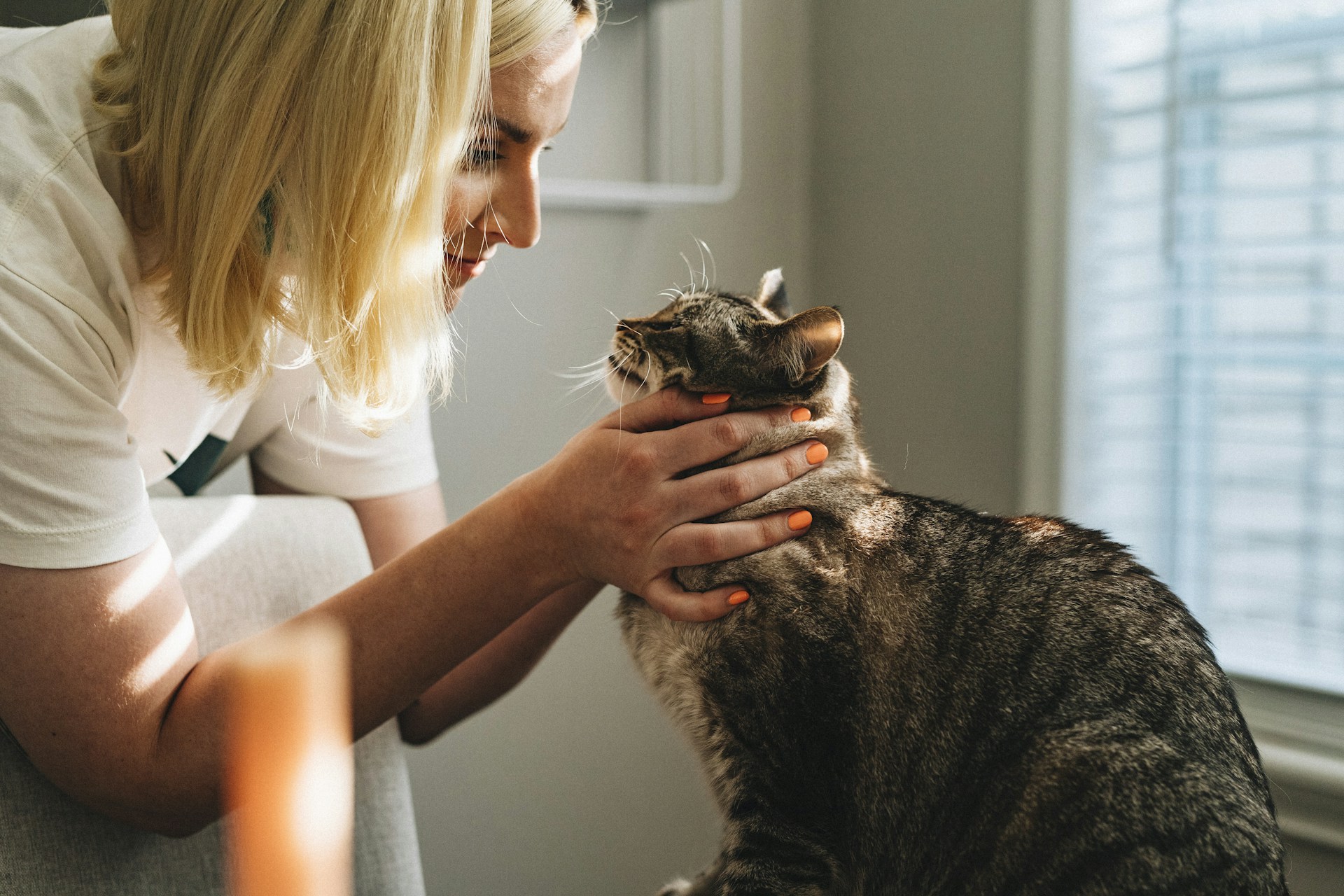 Veteriner Klinikleri ve Pet Shoplar İçin Aşı Hatırlatma ve Müşteri İletişimi