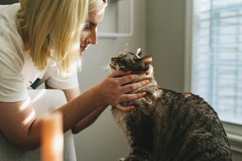 Veteriner Klinikleri ve Pet Shoplar İçin Aşı Hatırlatma ve Müşteri İletişimi